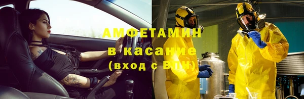 гашик Корсаков