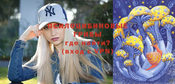 гашик Корсаков