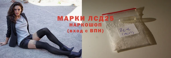 гашик Корсаков