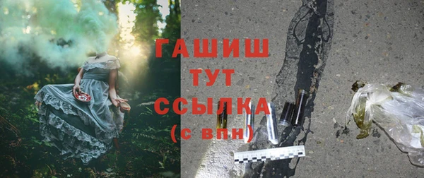 гашик Корсаков