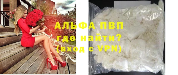 гашик Корсаков