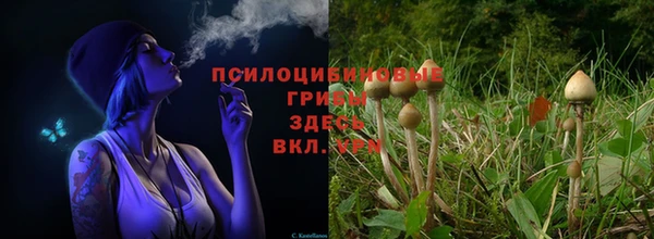 первитин Коряжма
