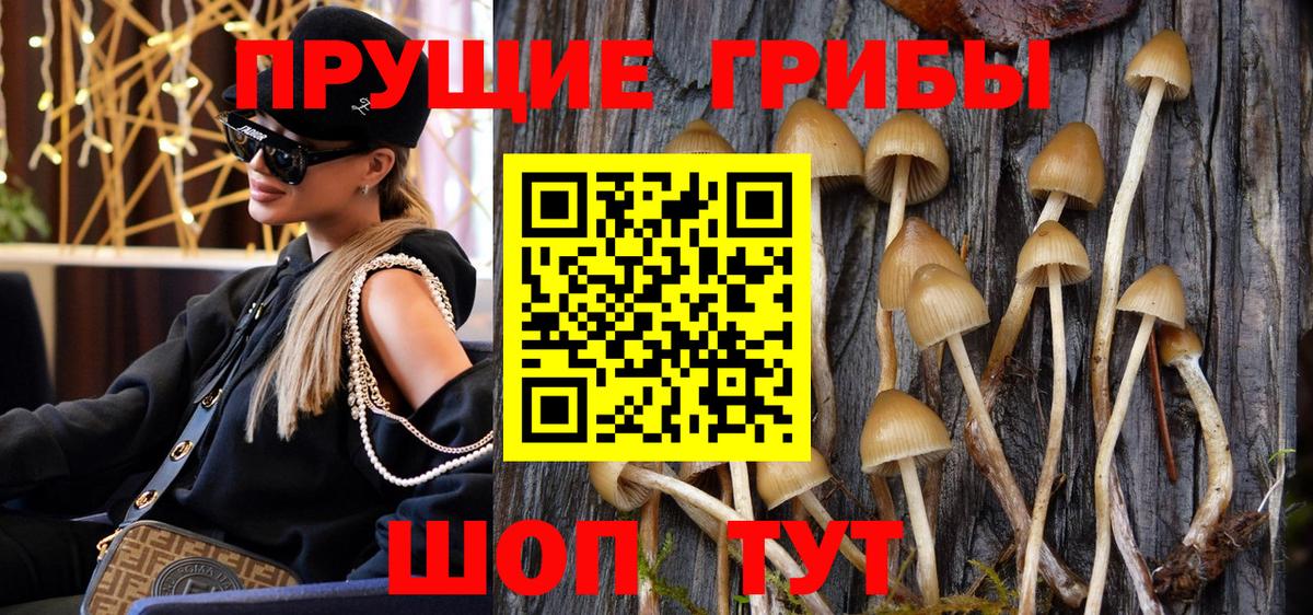 Псилоцибиновые грибы прущие грибы Рыбинск